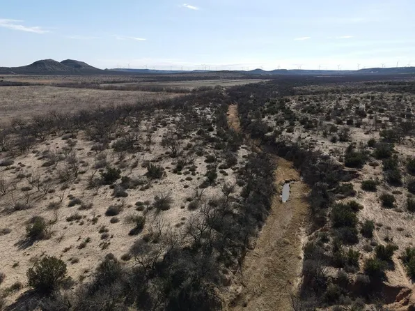 1300 Paint Creek Rd, Robert Lee, TX 76945