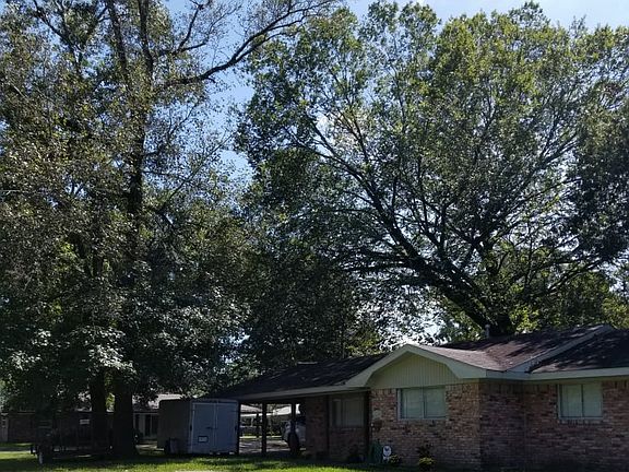 Front with Oak Trees