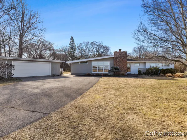 96 Belleview Dr, Ionia, MI 48846