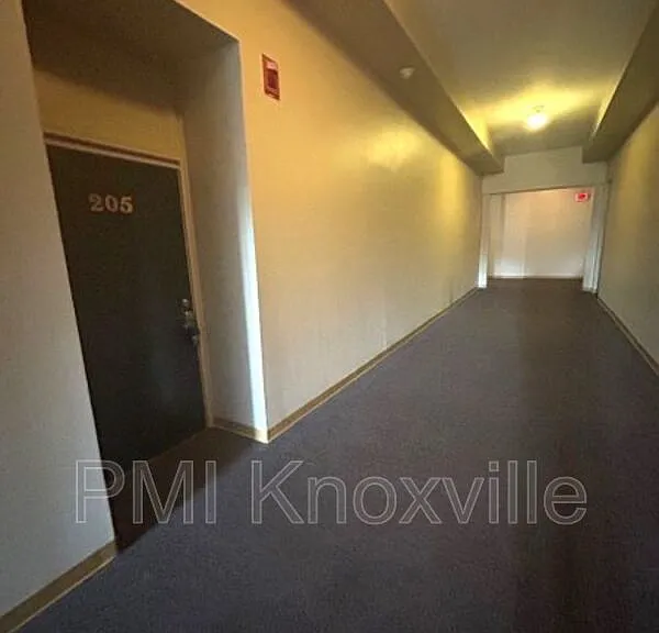 523 N Bertrand St #205 — Photo 5