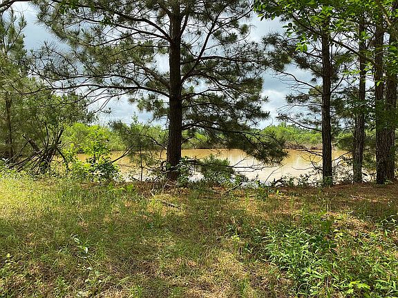 Pond