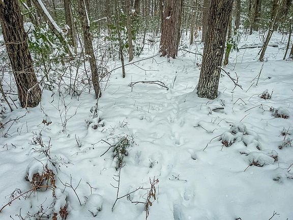 5th image of 1007 Necedah Road