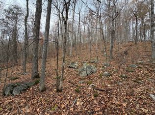 0 Spring Hill Rd, Hot Springs, VA 24445