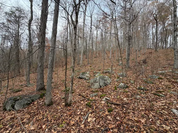 0 Spring Hill Rd, Hot Springs, VA 24445