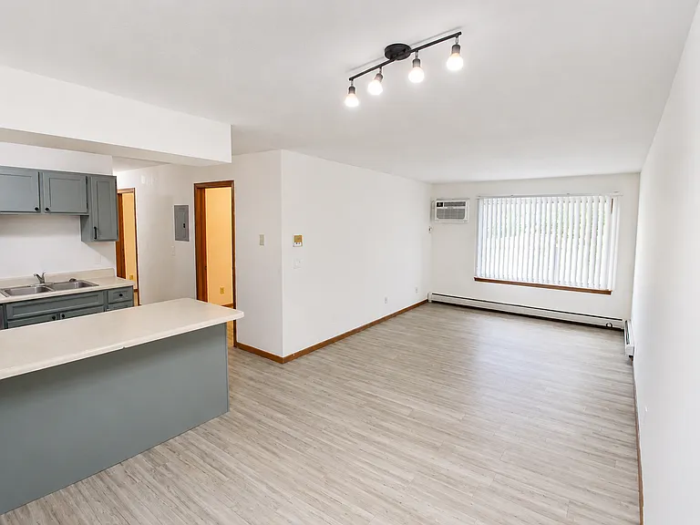 1011 5th Ave S #301 — Photo 3