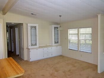 Picture5