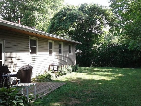 back yard-1