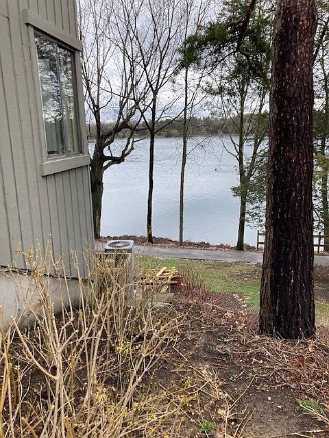 2nd image of 119D Shoreline Rd #D