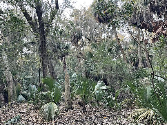 3rd image of 539 Oristo Rdg