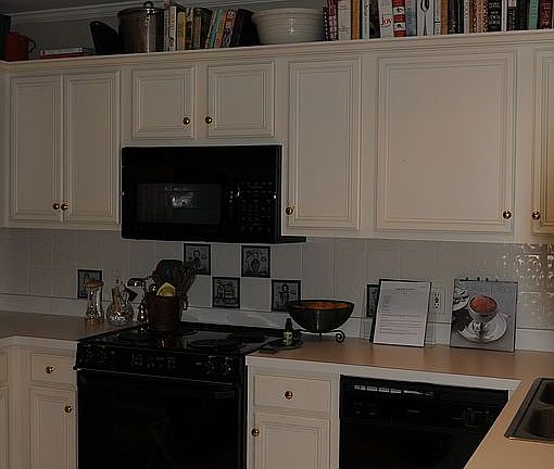 Kitchen-New Fridge & DW