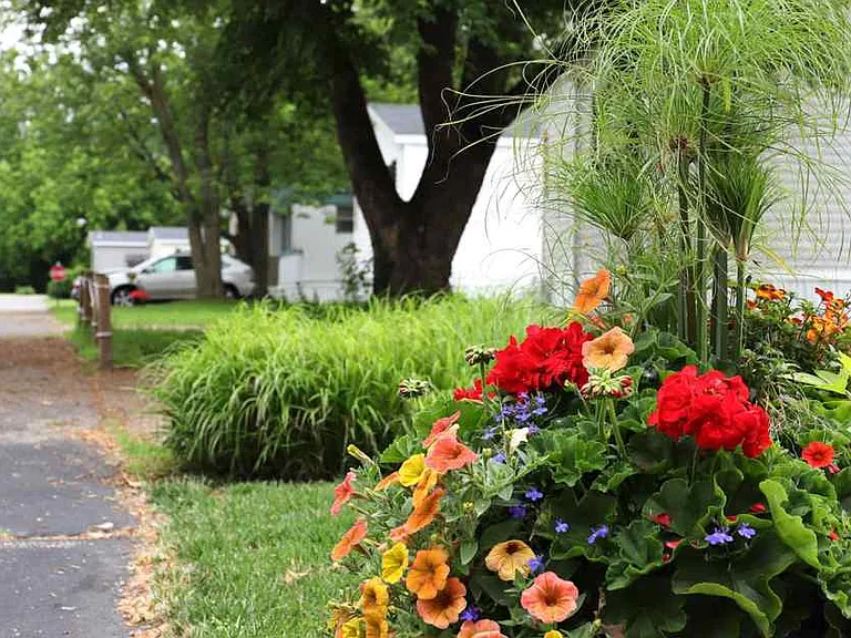 Prescott Community — Photo 9