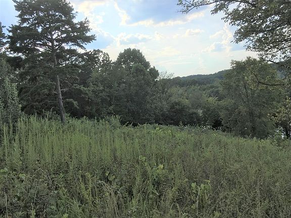 4th image of 234 Sullivan Pt Lot 22