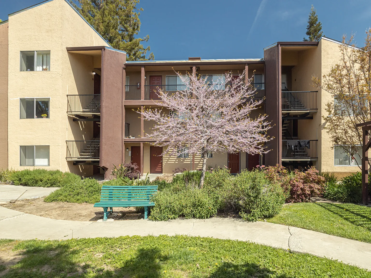 College Grove Apartments — Photo 3