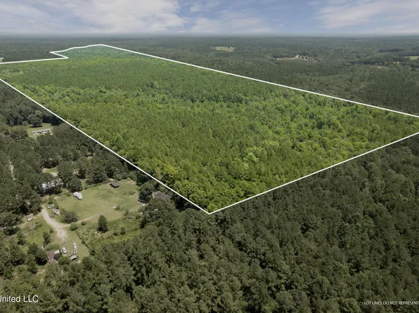 Scruggs Rd, Sumrall, MS 39482