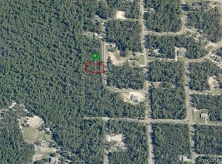 8578 N Lindhurst Cir, Citrus Springs, FL 34433