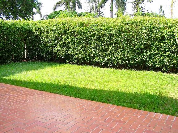 Backyard/Terrace floors - notice the ficus and all the green. PRIVATE PATIO