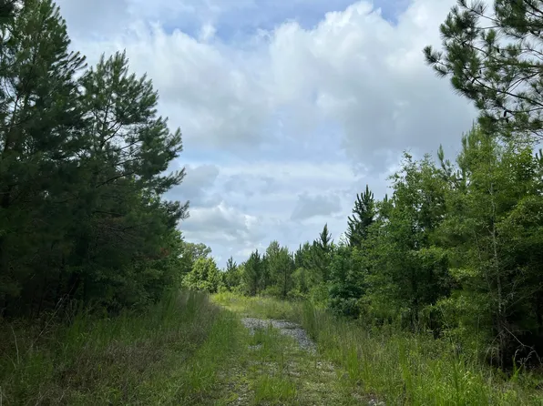 0 McArn Rd #E, Ridgeville, SC 29472