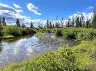 Highway 21 & Cow Camp Rd #C, Stanley, ID 83278