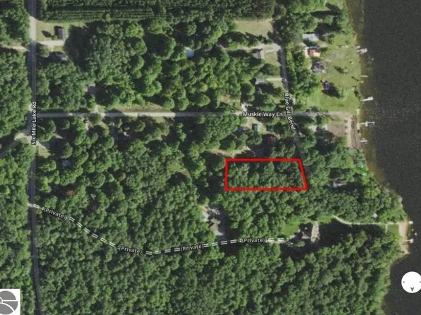 Lots 12 & 13 Blue Gill Bnd, Ellsworth, MI 49729