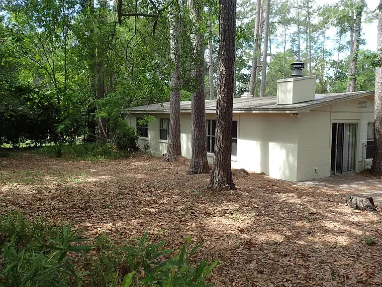 Fenced Back Yard 1