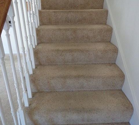 5th image of 3522 Prescott Dr