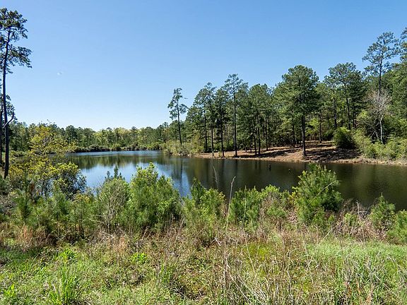 3rd image of Black Squirrel Rd E