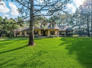 19803 Topaz Rdg, Magnolia, TX 77355