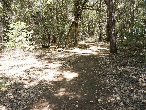 5th image of 4271 State Highway 299