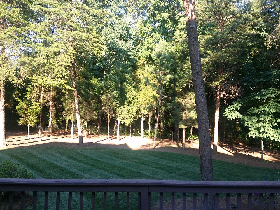 Deck View