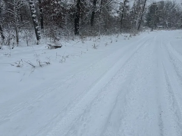 2650 S Yale Ave, Baldwin, MI 49304