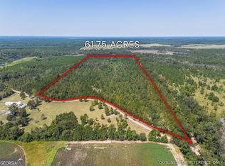 0 Wilcox Ln, Rhine, GA 31077