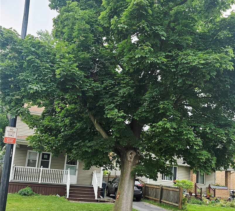1st image of 109 Beech St