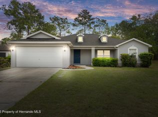 8408 Nuzum Rd, Weeki Wachee, FL 34613