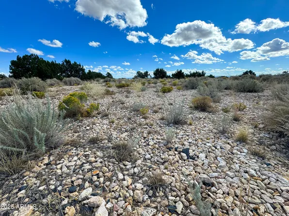 Lot 31 N ACR 7320 Road #31, St Johns, AZ 85936