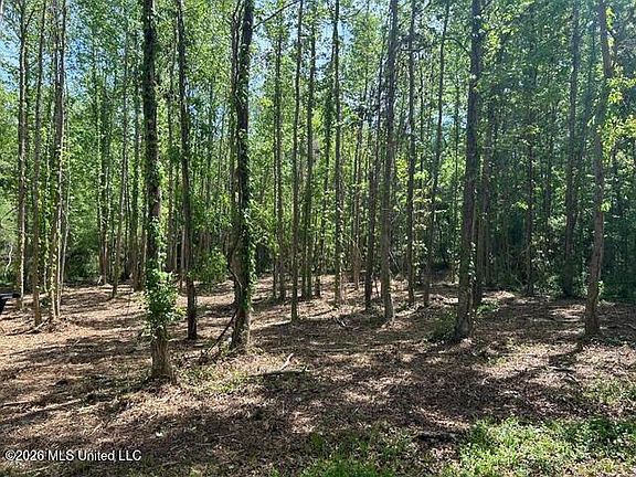 2nd image of PARCEL 4 Stovall Ln