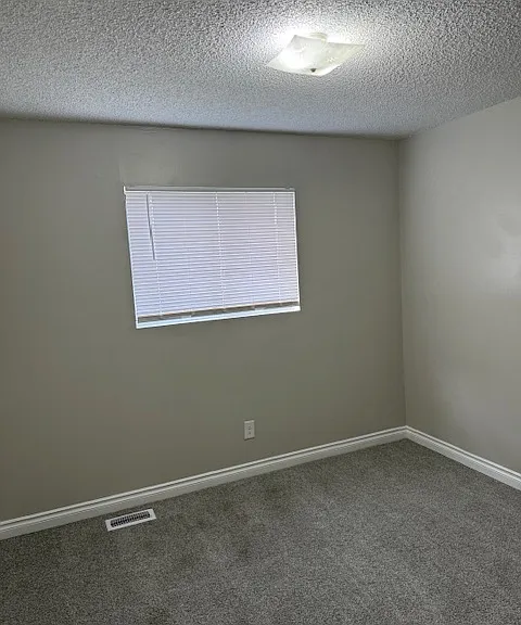6709 N Standard St #1 — Photo 8