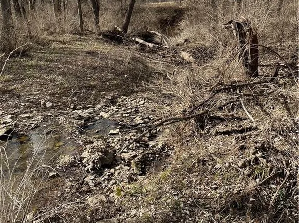 1 Two #&-3, Excelsior Springs, MO 64024