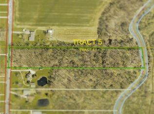 Indian Hollow Rd, Wellington, OH 44090