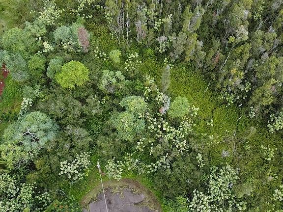4th image of Pauhau Pl Lot 225