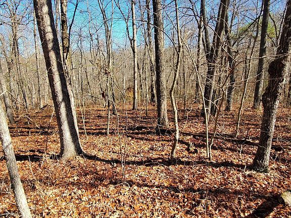 2nd image of 11 Rhonda Rd