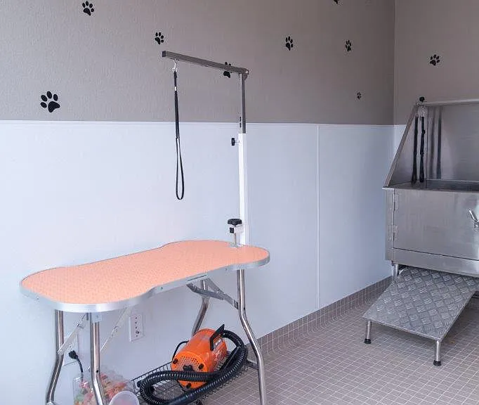 VASARI LUXURY APARTMENT HOMES — Photo 11