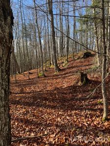 Herman Nestoria Rd, Lanse, MI, 49946