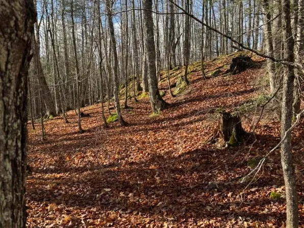 Herman Nestoria Rd, Lanse, MI 49946