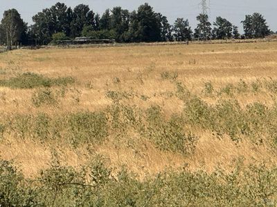0 Sikes Road, Dixon, CA, 95620