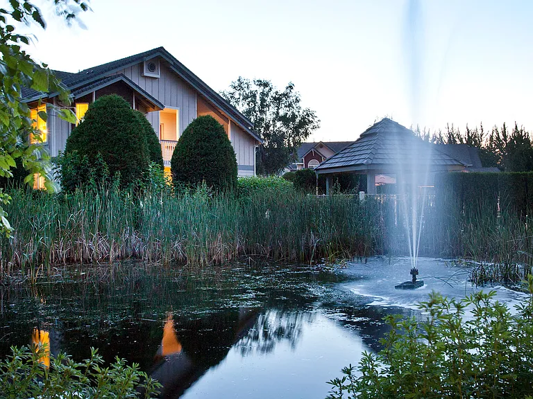 Stunning Water Features