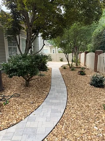 Newly landscaped backyard