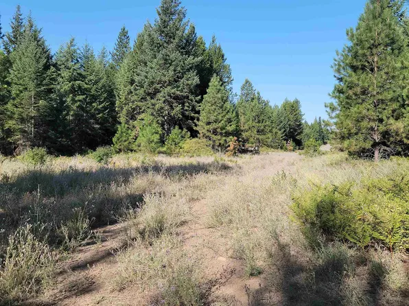 642 Overlook Dr, Newport, WA 99156