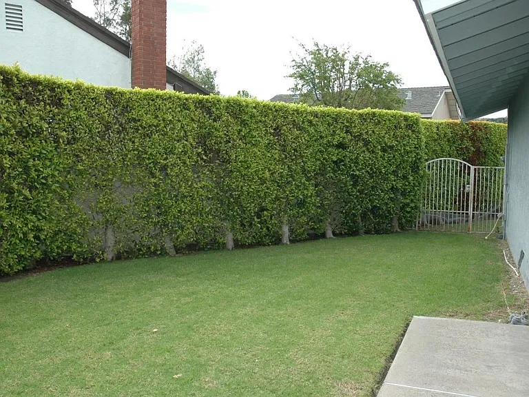 6374 E Paseo Celeste — Photo 111