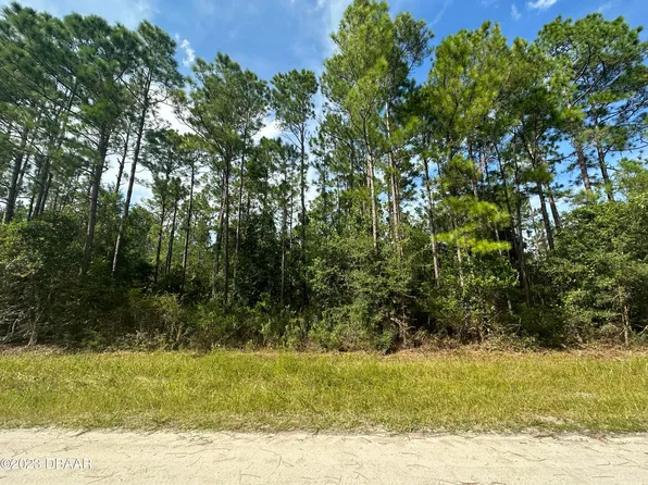 5542 Buckeye Ln, Bunnell, FL 32110