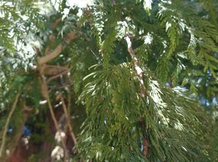 3732 SW Southern St, Seattle, WA 98126